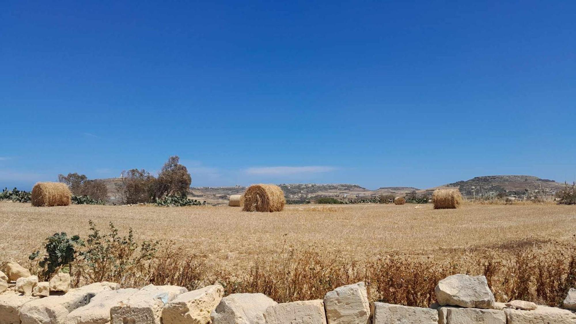 Arthome - Guest Rooms Għarb Dış mekan fotoğraf